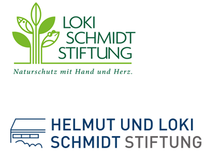 Grafik mit Logo der Loki Schmidt STiftung und Logo der Helmut und Loki Schmidt Stiftung.