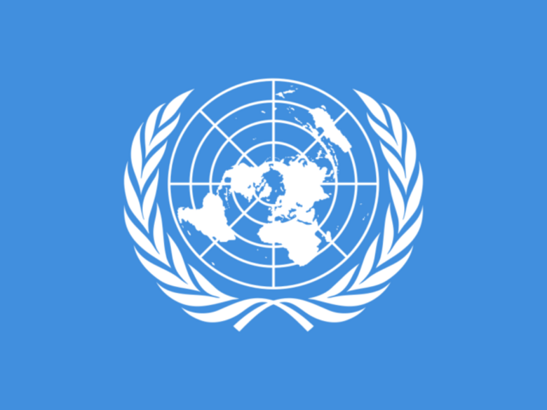 [Translate to English:] UN Logo