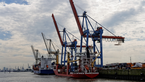 Kräne im Hamburger Hafen