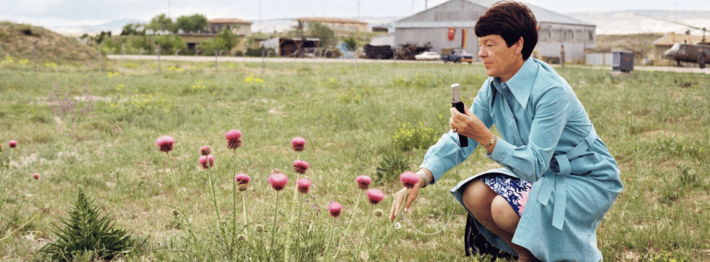 Loki Schmidt photographs flowering plants