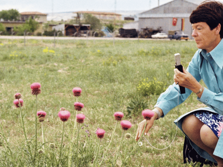 Loki Schmidt, kneeling down, takes photos of blooming flowers in a field
